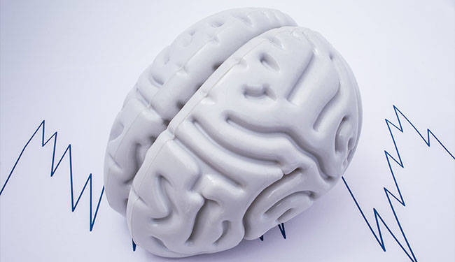 Electroencephalograph subsystem